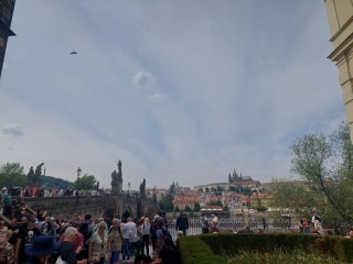 Divadlo, muz. Tarzan, výlet